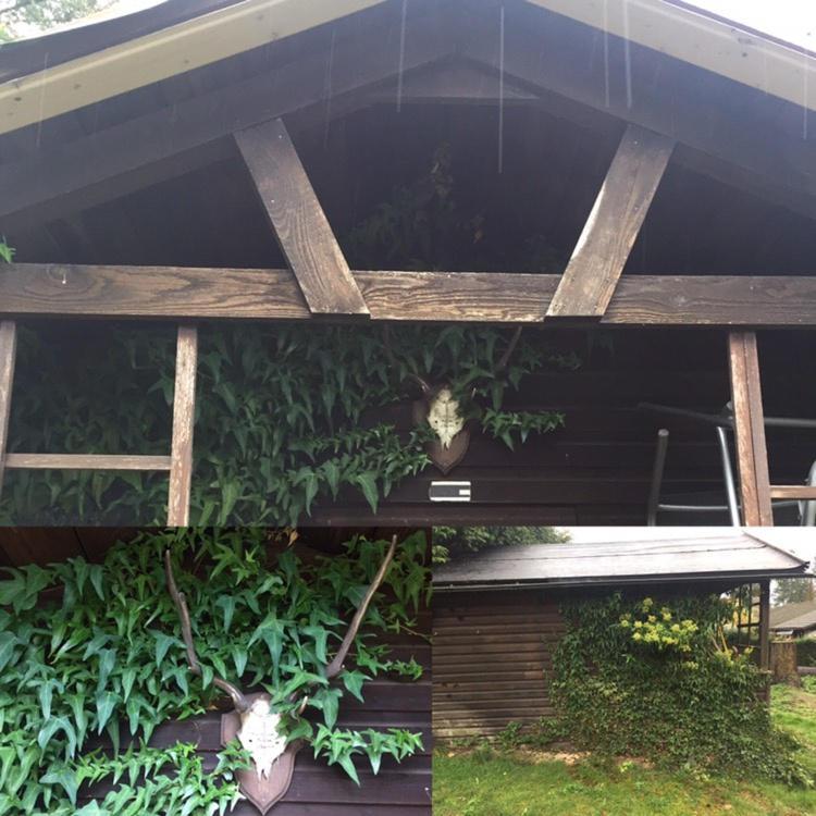 Willa Ferienhaus Braunfels Zewnętrze zdjęcie