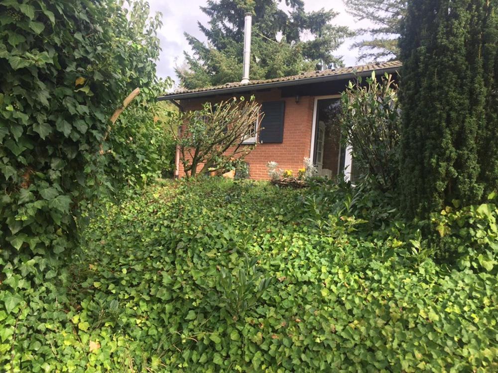 Willa Ferienhaus Braunfels Zewnętrze zdjęcie
